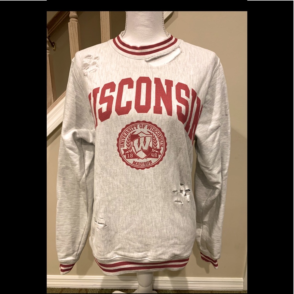 University of Wisconsin Champion Sweatshirt